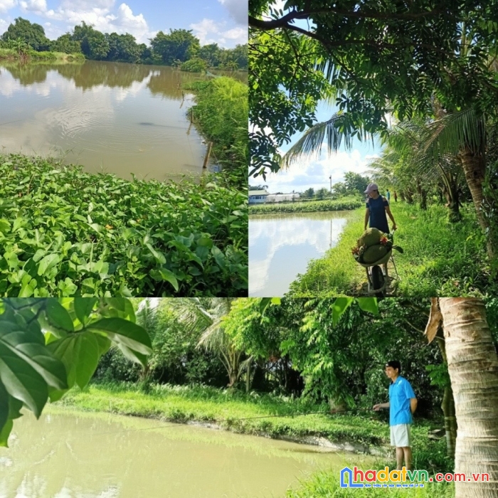 Chính chủ cần sang nhượng  mảnh đất tại hải phòng