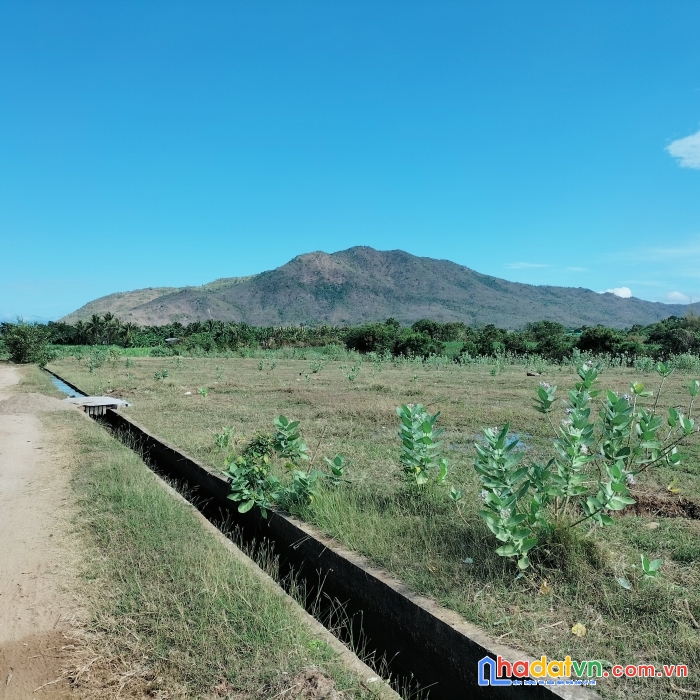 Sở hữu ngay lô đất vị trí đắc địa tại  xã mỹ sơn, huyện ninh sơn, ninh thuận