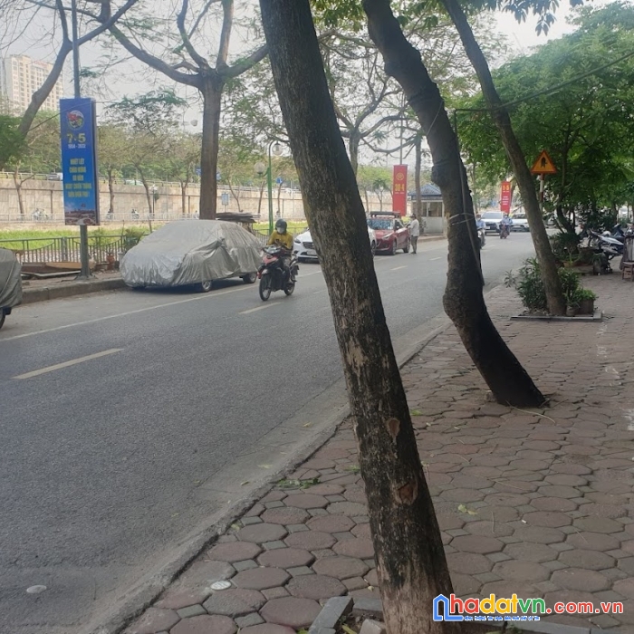 Bán nhà cầu giấy, phố nguyễn đình hoàn, 185m, 5t, mt 6.5m, mp, kinh doanh, 50 tỷ, 0937651883.