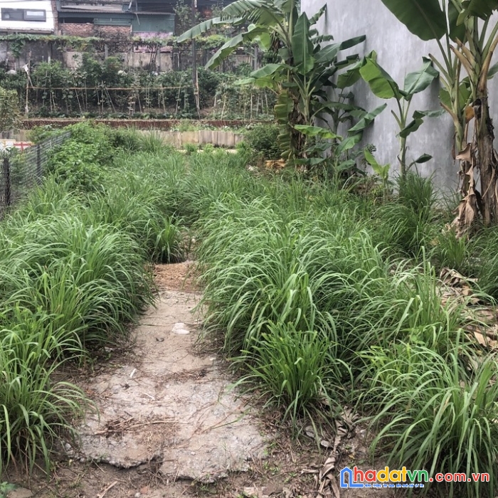 Chính chủ bán lô đất đẹp tại  khu đô thị trằm đá - gia cẩm - việt trì - phú thọ