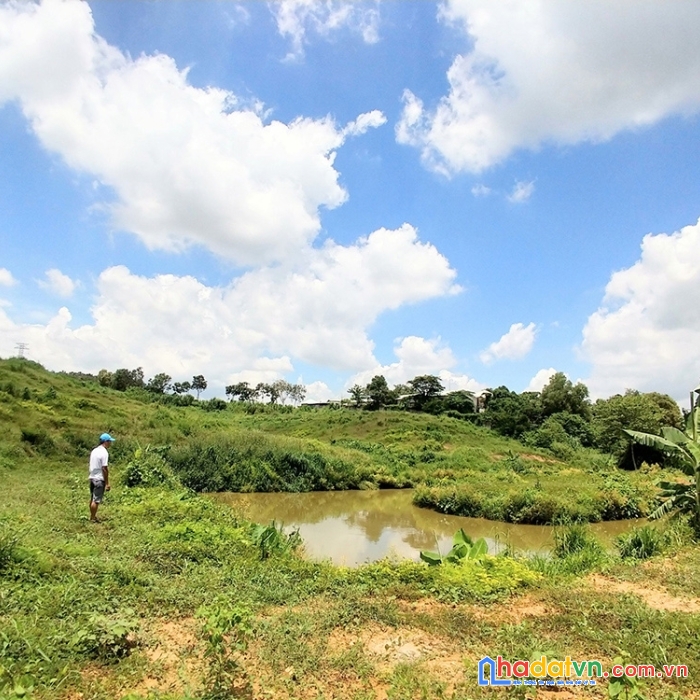 Đất rẫy phước tân, gần vòng xoay giáo sứ, đường nhà nước, thế đồi, mặt hồ

