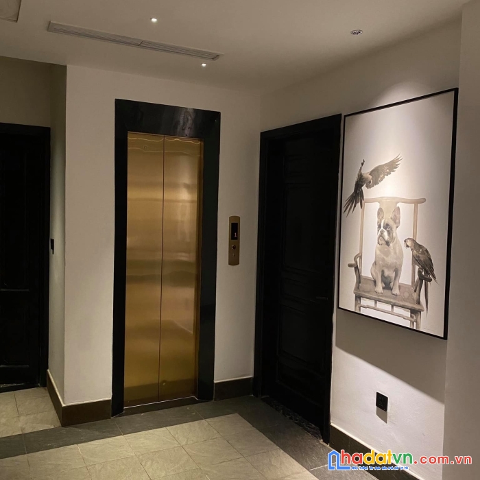 Nhà trần phú – ba đình – pl – thang máy 55m2x6t – 13.8 tỷ