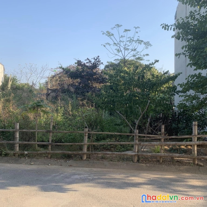 Bán đất mb 1876 lô a31 phường đông hương, tp thanh hóa, thanh hóa