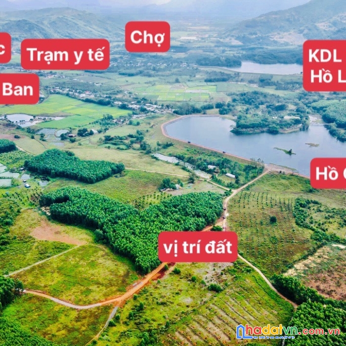 Cần bán gấp 730m2 đất ngang 24m tại xã diên tân, diên khánh chỉ 390tr view hồ cây sung