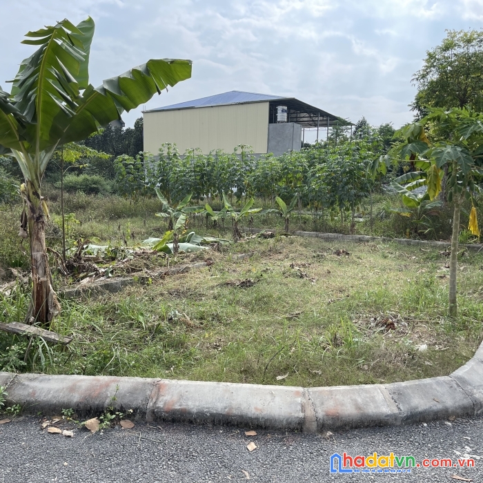 Chính chủ_cắt lỗ cần tiền gấp