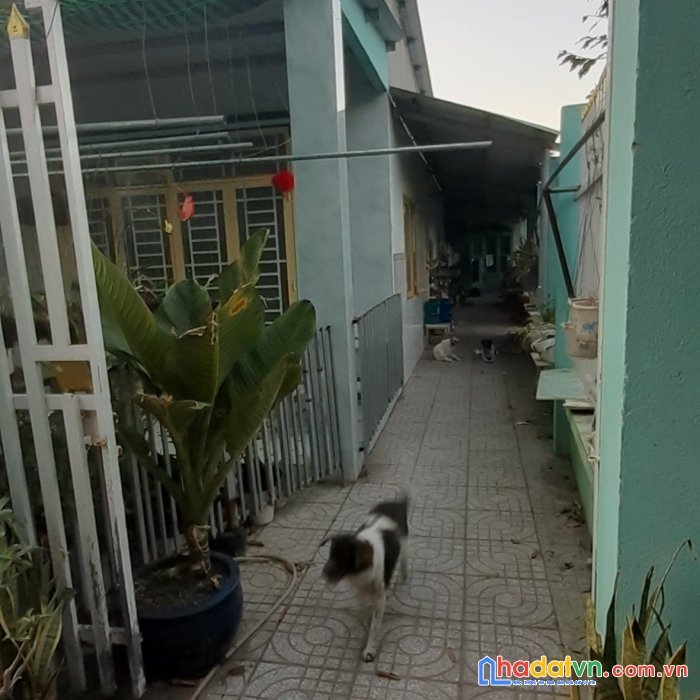 Sở hữu ngay căn nhà cấp 4 vị trí siêu đắc địa tại tp. thủ dầu một, tỉnh bình dương.