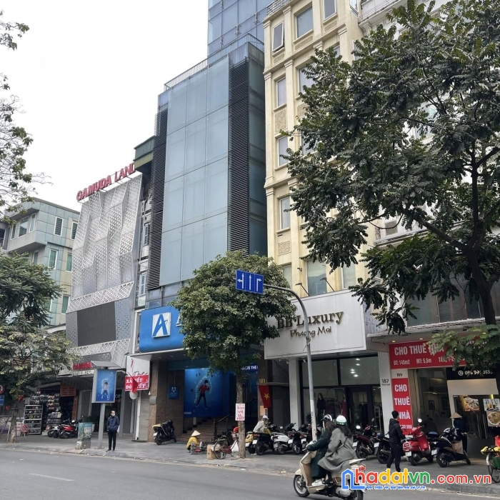 Đẳng cấp siêu hiếm mp hai bà trưng, 300m2, mt: 9,3m, kinh doanh đỉnh, vị trí đắc địa