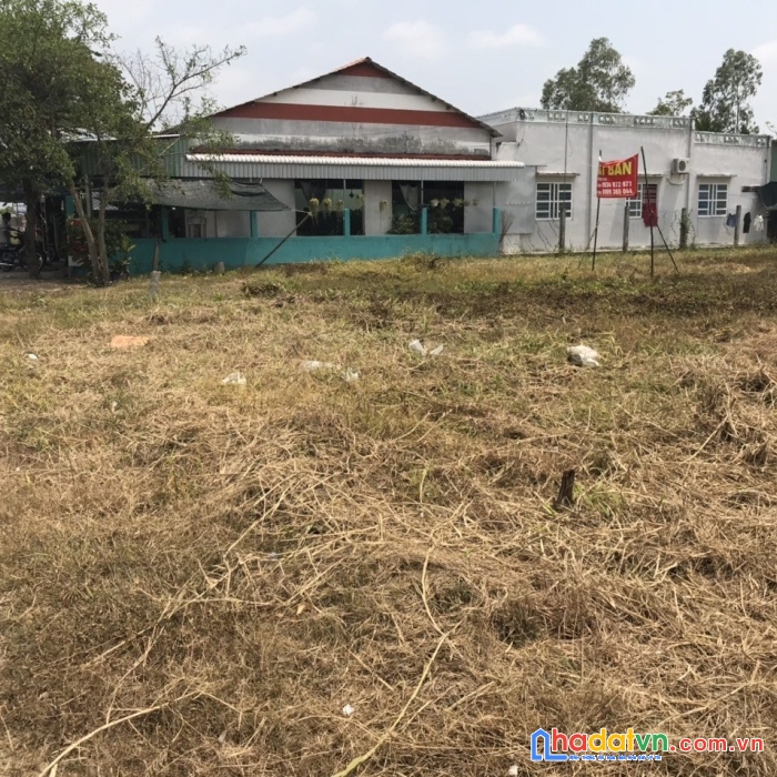 Về miền tây - đánh bắt xa bờ - bán giúp chị họ