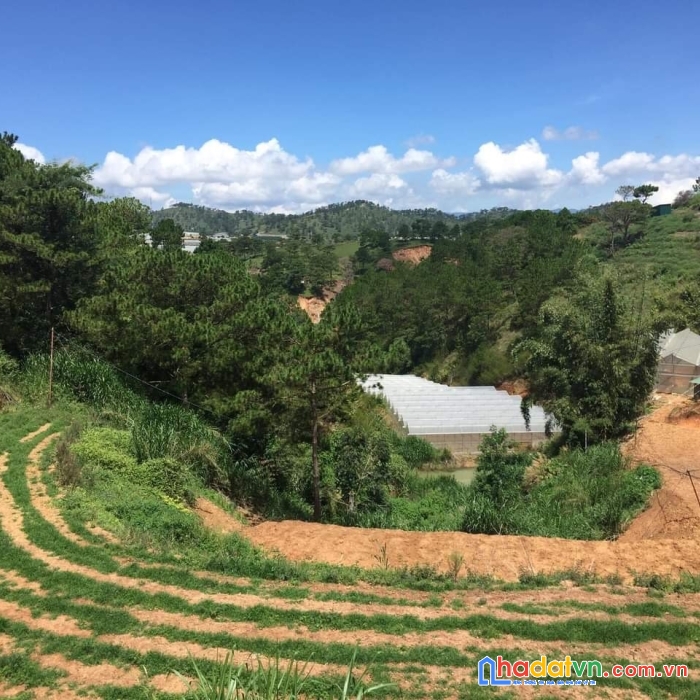 Bán gấp 2000m2 đất rộng view thoáng đường nguyễn hoàng, đà lạt giá 5tr/m2