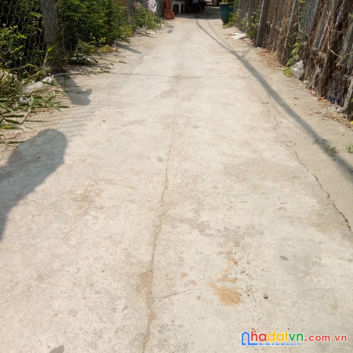 Sở hữu ngay đất full thổ cư đường phạm thế hiển, p6, q8 - với 7.5 tỷ - 0915431616