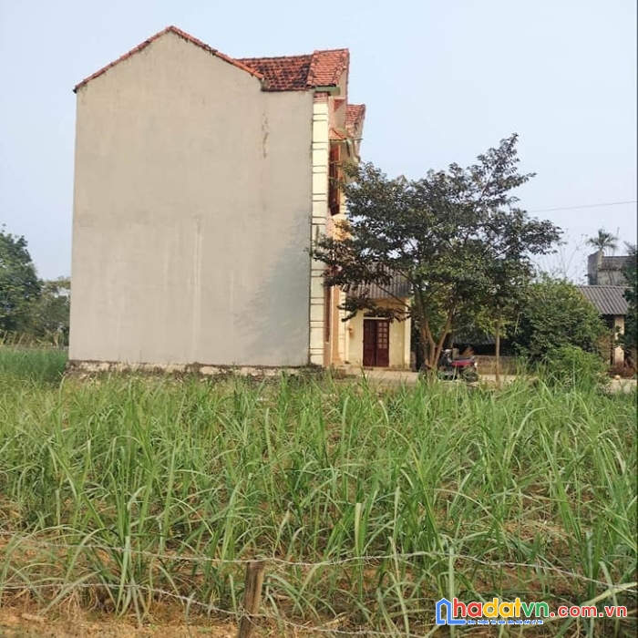 Bán 4 lô đất khu phố ngọc bồ, thị trấn kim tân, huyện thạch thành, thanh hóa