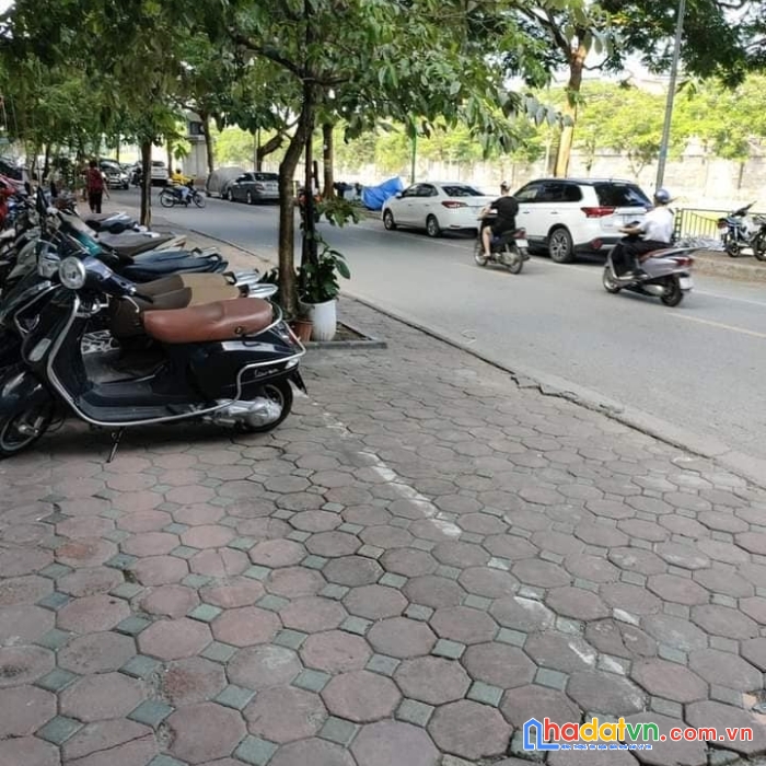 Bán nhà phố nguyễn khánh toàn 50m2 - lô góc, ôtô kinh doanh đỉnh, giá nhỉnh 8 tỷ