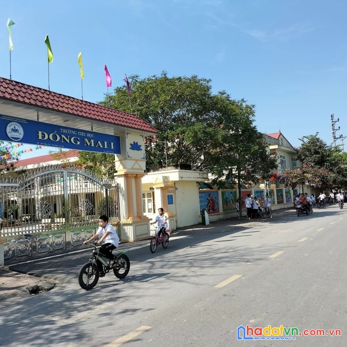 Siêu hiếm mảnh đất đấu giá sát tiểu học đồng mai, 70m2, mt5m, ô tô, giá 2.9 tỷ