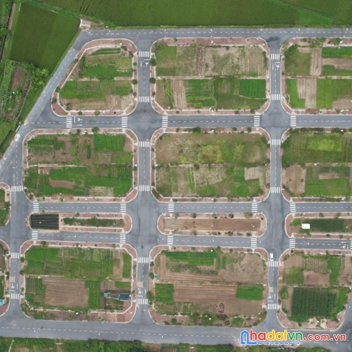 Bán đất đấu giá x1 đông hội đông anh mặt đường 25m