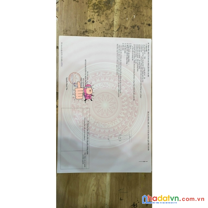 Tôi chủ đất cắt lỗ bán 2lô 100m tại tuy lại mỹ đức giá chỉ vài tr/m đường thông gần trường c1 c2