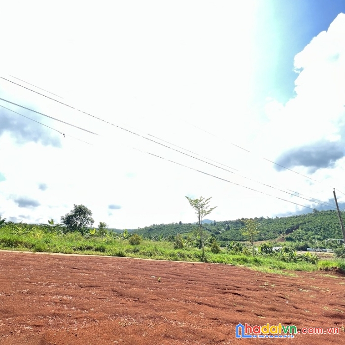 Bán đất 14 lô f0 chính chủ tại lộc an- bảo lộc