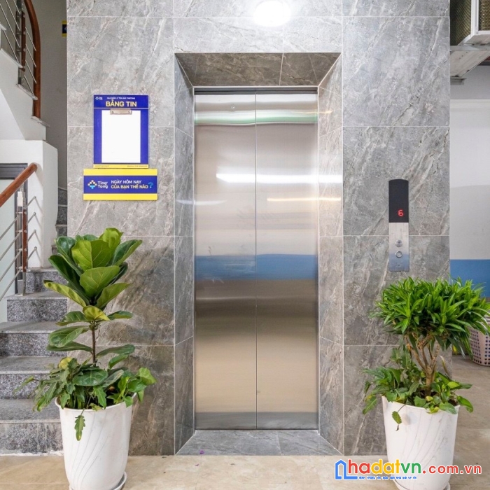 Gà lớn đẻ trứng vàng, ccmn tân triều triều khúc, 17pkk, giá chào nhỉnh 9 tỷ