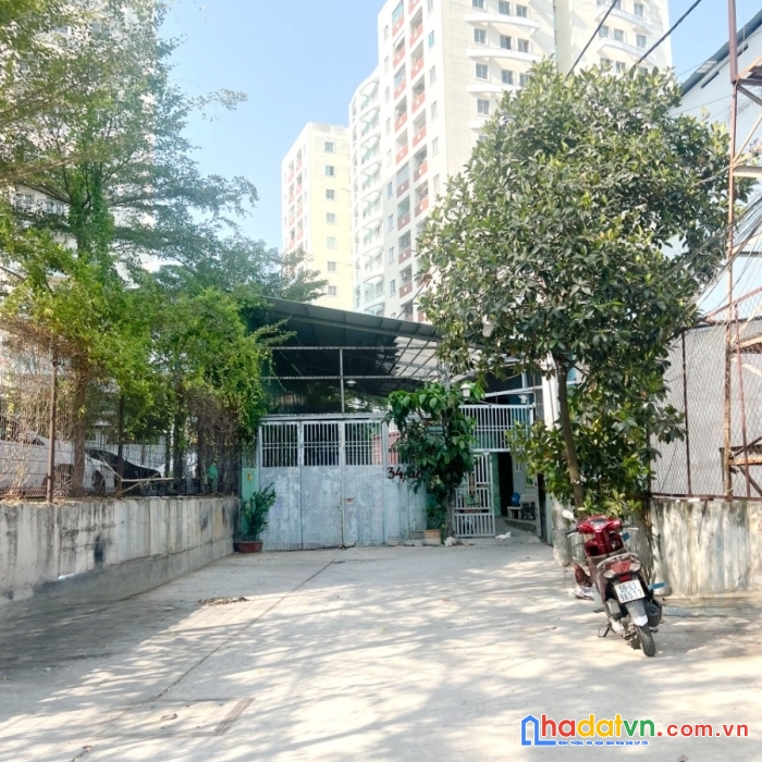 Bán 565m2 full thổ cư 3 sổ hẻm 8m đường bùi tư toàn, p.an lạc, q.bình tân