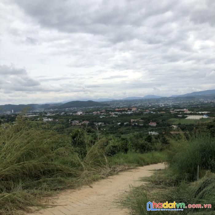 Sở hữu ngay lô đất đẹp vị trí đắc địa tại  xã đông thanh, huyện lâm hà, lâm đồng