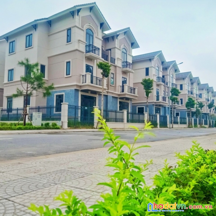 Bán biệt thự song lập centa city từ sơn, giá rẻ