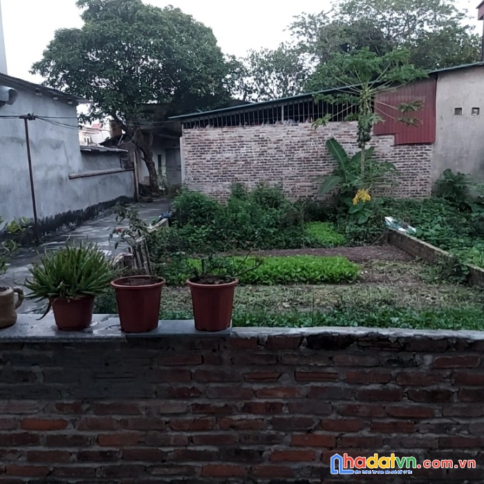 Cực hiếm lô góc 2 mặt thoáng, 60m2, xóm đường nguyên khê đông anh, đường xe 9 chỗ, giá 2,x tỷ