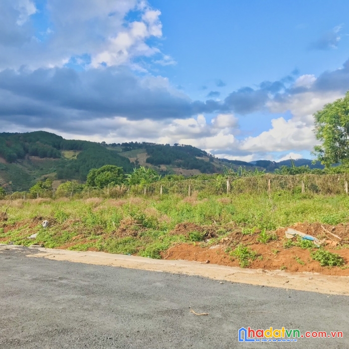 ( hot hot ) chỉ 3 tỷ sở hữu ngay lô đất nền biệt thự đẹp tại đà lạt 201m2