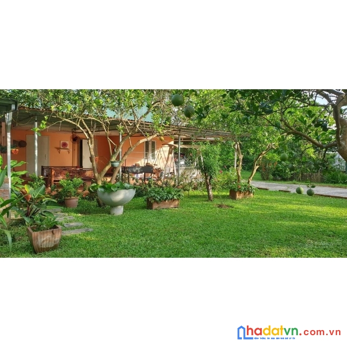Tôi chính chủ đứng tên sổ đỏ cần bán khu nhà vườn sinh thái tại cổ đông-sơn tây
