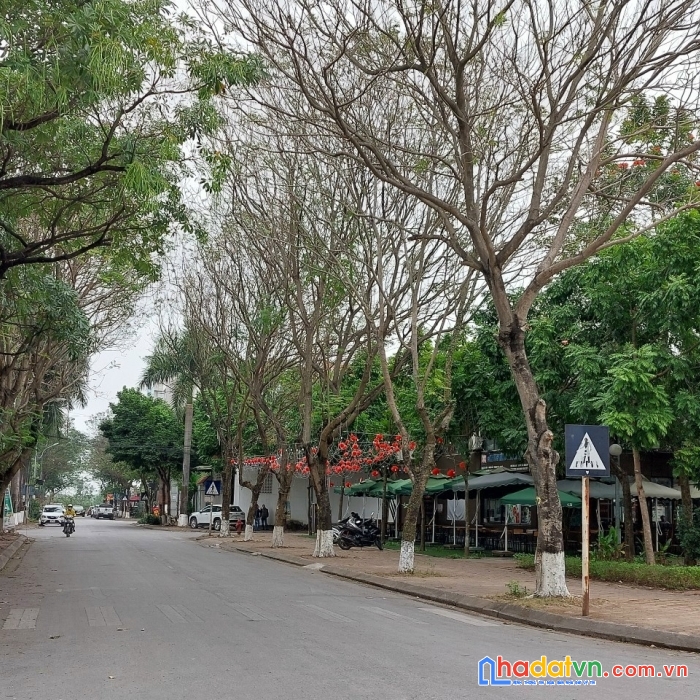 1 lô duy nhất 96m2 đất đấu giá tứ hiệp, thanh trì , vị trí siêu đẹp, kinh doanh đỉnh, minh đường
