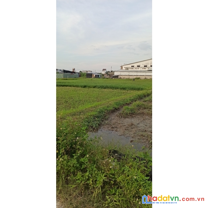 Chính chủ cần bán đất nhà vành đai 3 mua ở lập xưởng hay dự án