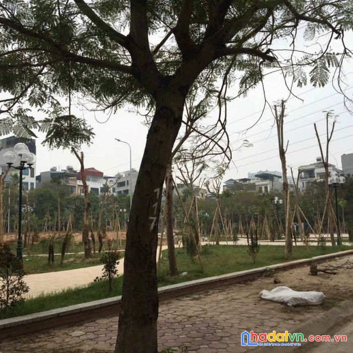 Bán nhà phân lô hàng bè, kiến hưng, cạnh công viên, 50m2, 4 tầng, ô tô nhỉnh 6 tỷ