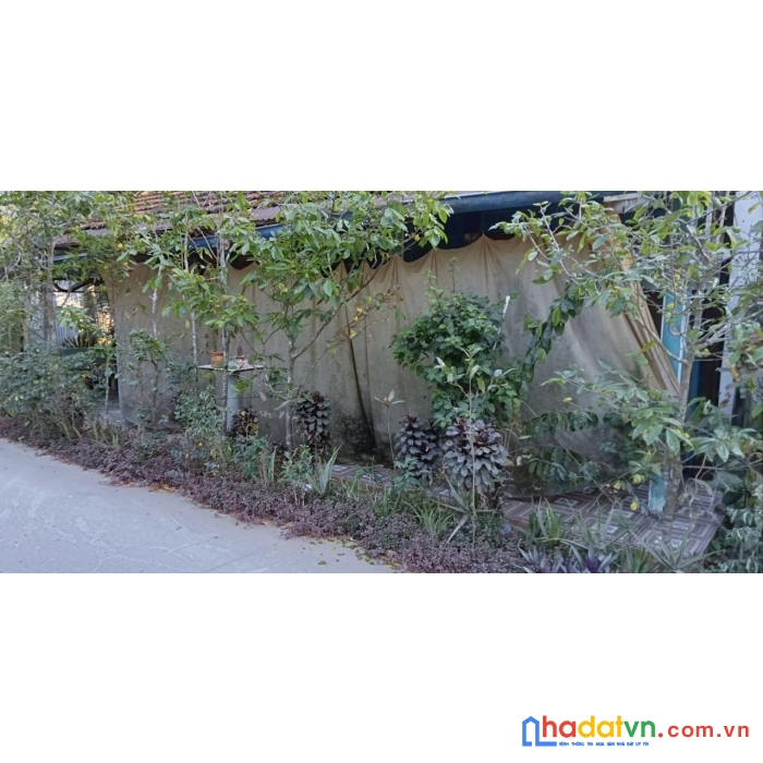 Chính chủ bán căn nhà vị trí đẹp tại mỏ cày nam - bến tre