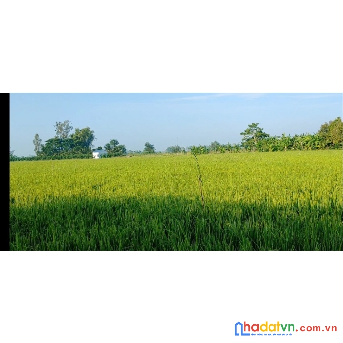 Chính chủ cần bán gấp đất 2 mặt tiền tại phường trung nhứt, thốt nốt, cần thơ