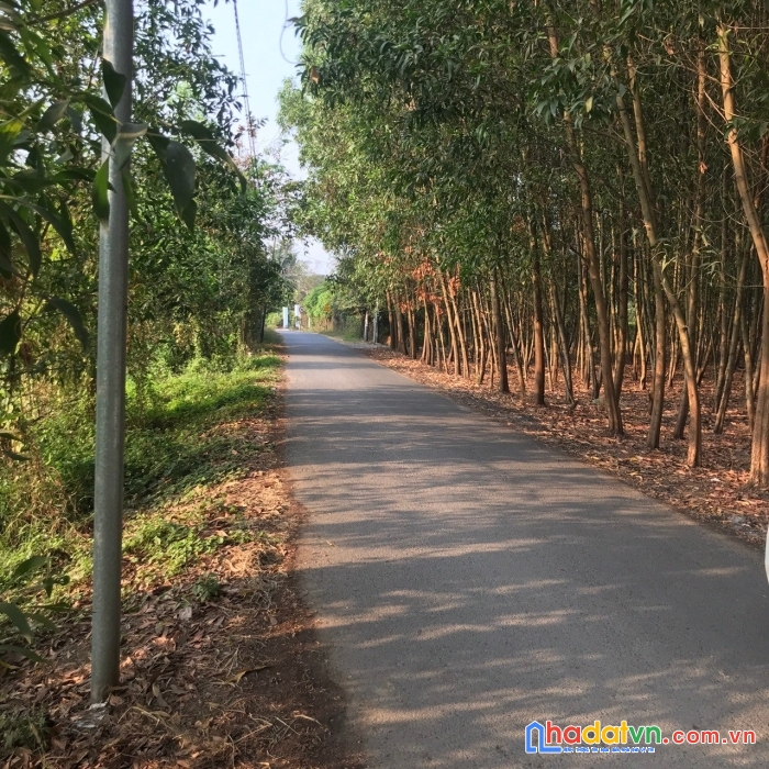 Sở hữu ngay lô đất đẹp tại phường phước tân, thành phố biên hòa, tỉnh đồng nai,