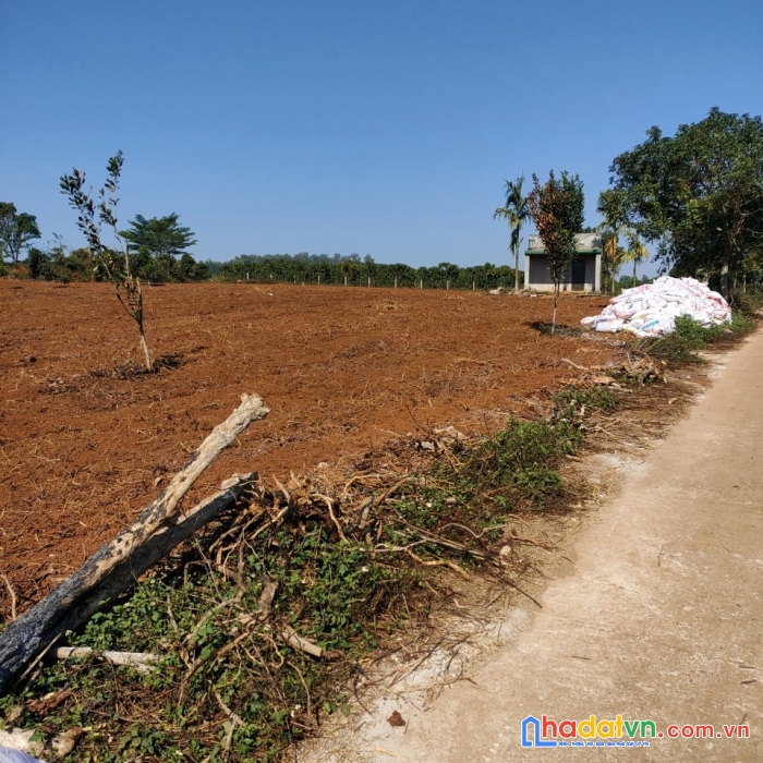 Hot hot.. chỉ 950 triệu - sở hữu lô đất giá rẻ tại phúc thọ, lâm hà 1139m2