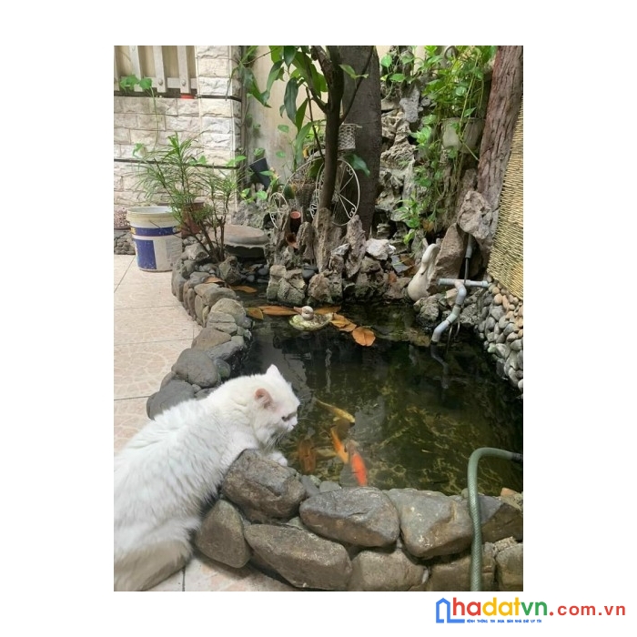 Cần tiền bán gấp nhà hẻm minh phụng, p.2, q.11