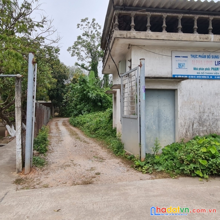 Bán gấp đất văn tự, huyện thường tín, hà nội ( gần chợ tía) - 192m2, miễn mg