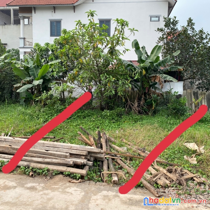 Bán đất đấu giá x2 lương nỗ, tiên dương, đông anh, hà nội.