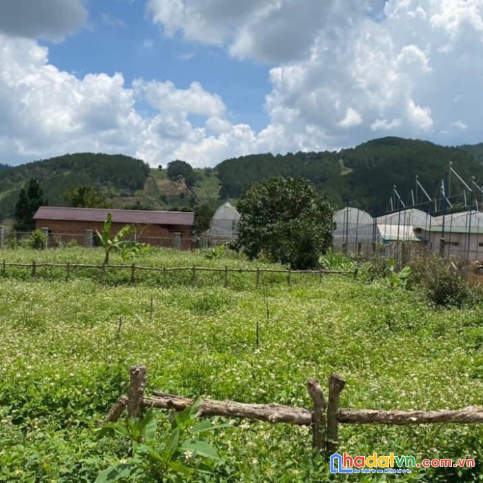 Chính chủ cần bán lô đất đẹp tại xã tà nung, tp đà lạt, lâm đồng