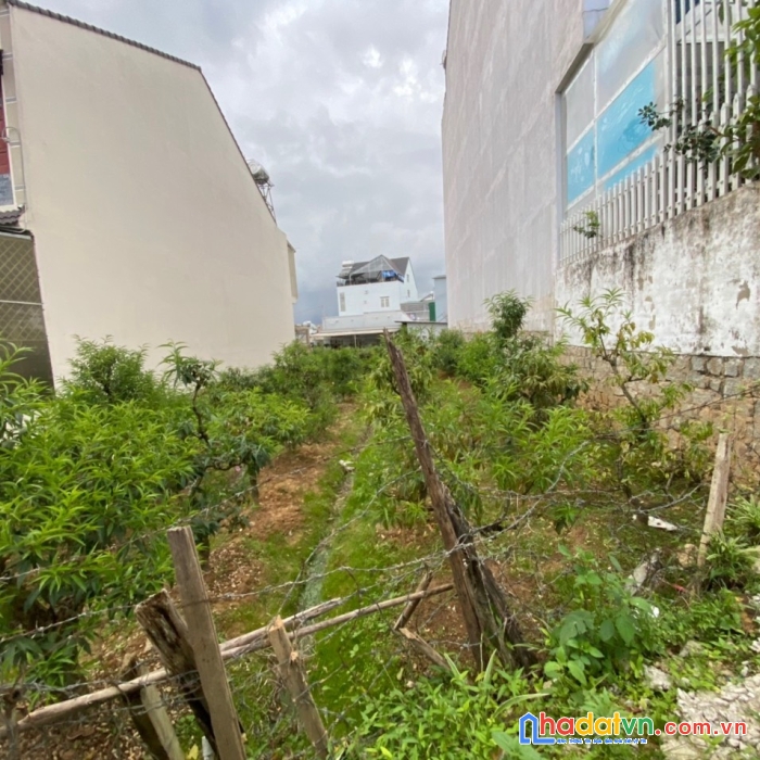 ( giảm kịch sàn ) bán gấp đất xd đường nguyễn công trứ, đà lạt 150m2 giá vô cùng hấp dẫn chỉ 7.2 tỷ