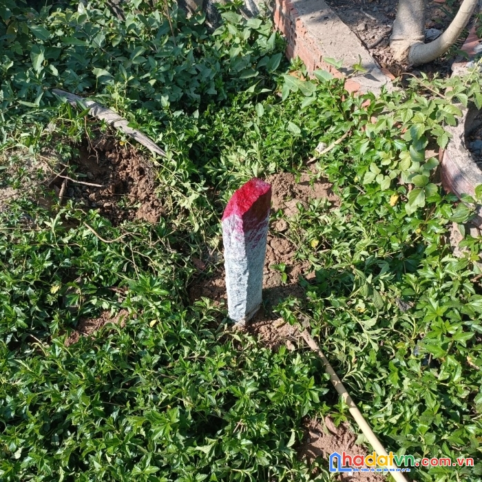 Chính chủ bán nhanh đất mặt tiền tp cao lãnh, đồng tháp.