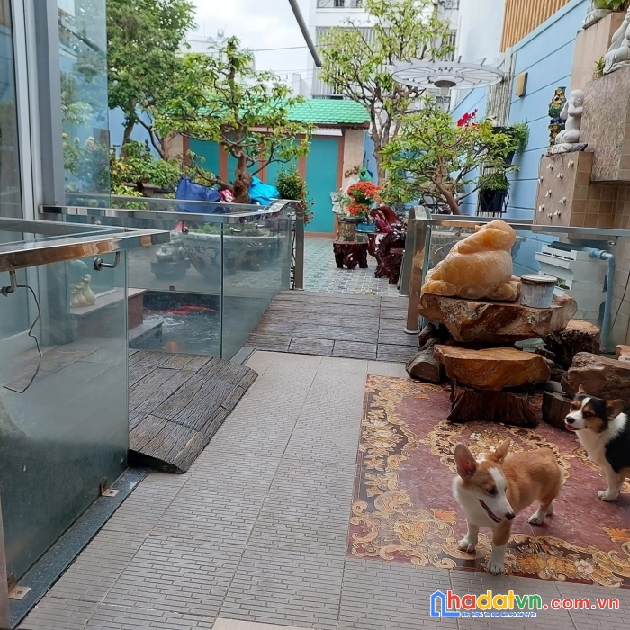 Bán  nhà biệt thự sân vườn đường thống nhất - quang trung, 7.5x25m,3 tầng - 6pn, 18.5 tỷ