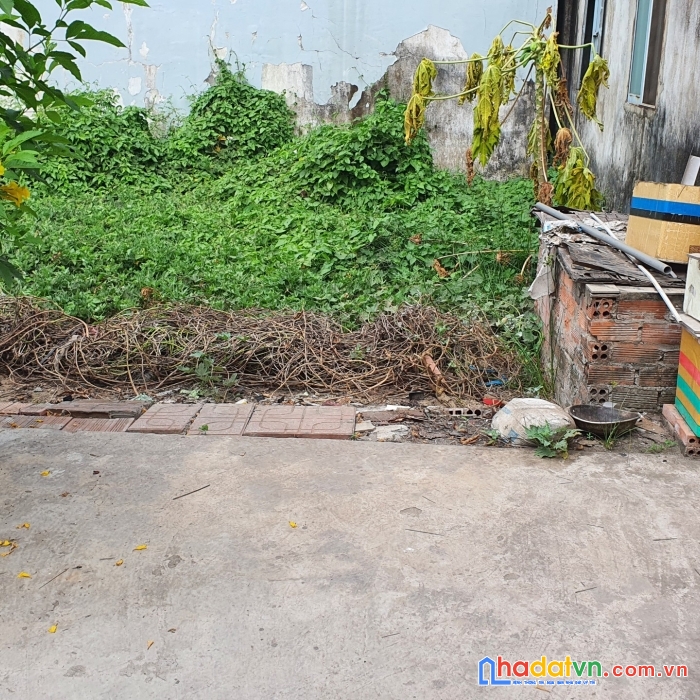 Đất trường thọ (giảm từ 7ty7 còn 5ty5)  diện tích 162m2