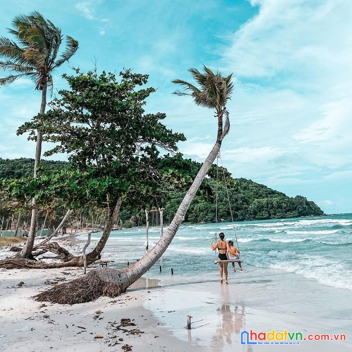 Thông tin chính thức về bãi sao tại phú quốc