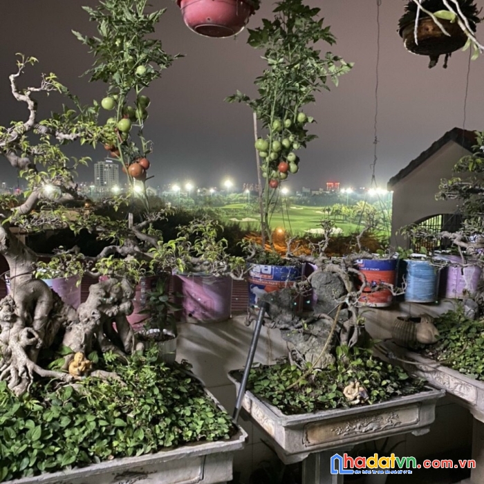 Bán nhà đàm quang trung ôtô phân lô 42mx5t nhỉnh 6 tỷ