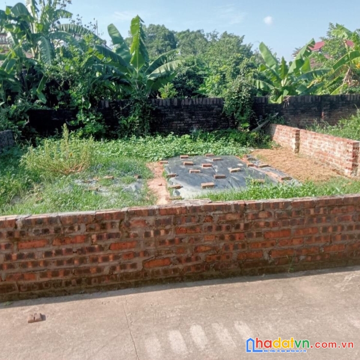 Bán nhanh 62.5m tại phú ninh - minh phú - sóc sơn - hn, đường ô tô thông,giá 750tr: