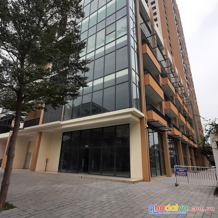 Bán nhà phố hồ đắc di. đống đa. kinh doanh. dt 100m2. giá 26,5 tỷ