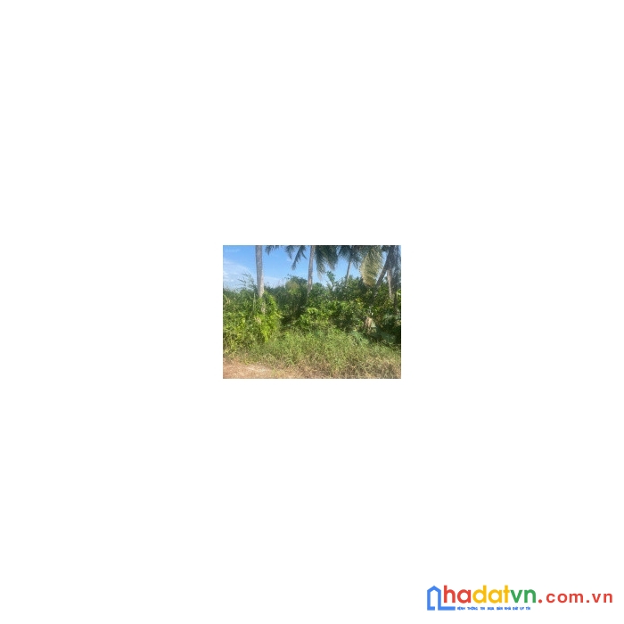 Cần bán  đất nền đất trồng cây lâu năm.xã mỹ bình, ngã năm, sóc trăng