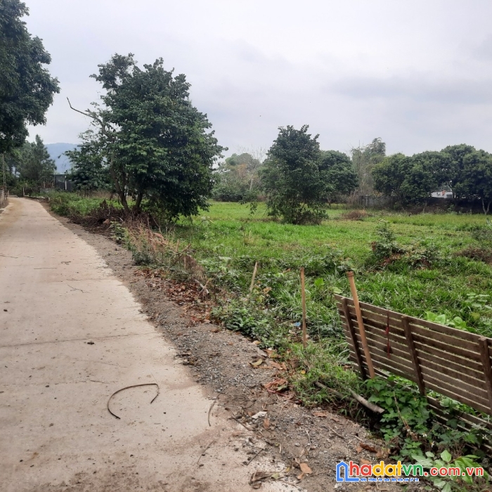 Chuyển nhượng 2 lô đất sát nhau 1011m và 1018m sổ hồng riêng biệt tại hòa sơn- lương sơn - hòa