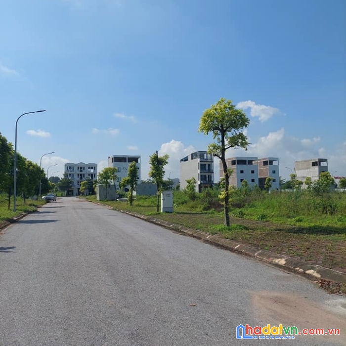 Bán nhanh lô đất dãy lk8 thuộc dự án dmc, thuận thành, bắc ninh, giá 3.2x tỷ