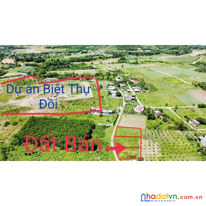 Bán nhanh lô góc diên đồng 1685m2 tách được 3 lô giá đầu tư